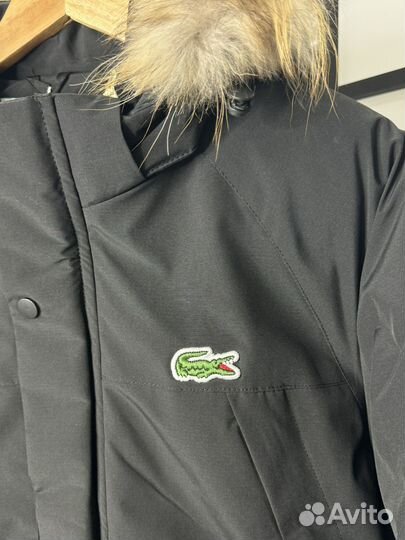 Зимняя куртка Lacoste