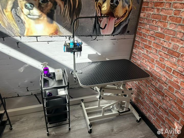 Стол для груминга с электроподъемником