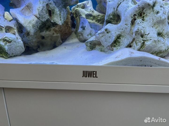 Аквариум с тумбой juwel на 240 литров