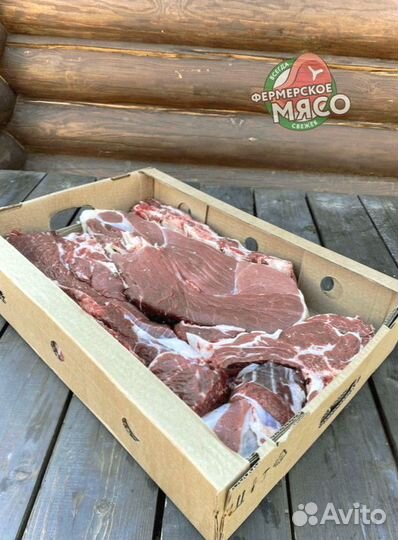 Мясо говядина