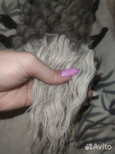 Афролоконы