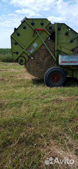 Сено в рулонах 3000 за тону