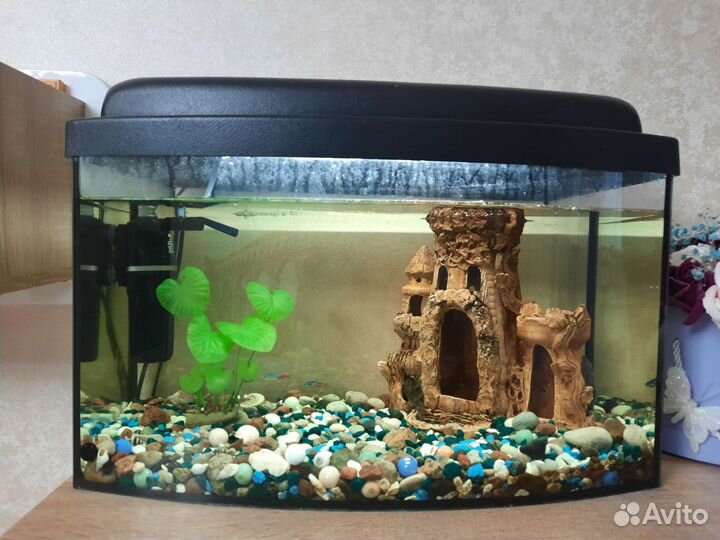 Аквариум