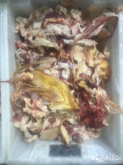 Говяжьи обрези для собак