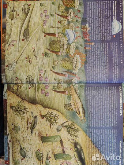 Атлас динозавров