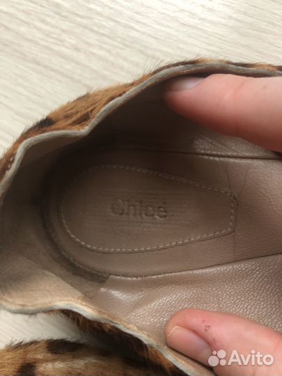 Балетки леопардовые Chloe