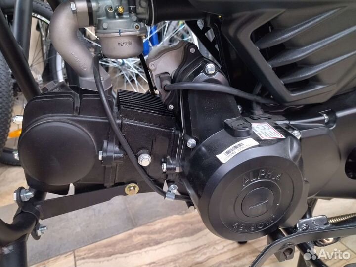 Alpha Millennium RS 12