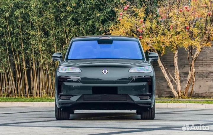 Denza N9 2.0 CVT, 2025, 2 км