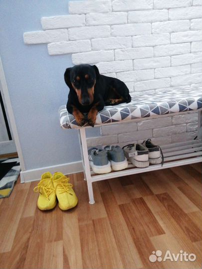 Вязка для мальчика