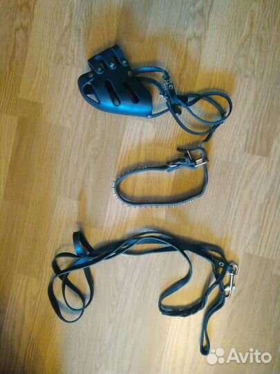 Намордник на овчарку поводок и миска для собак