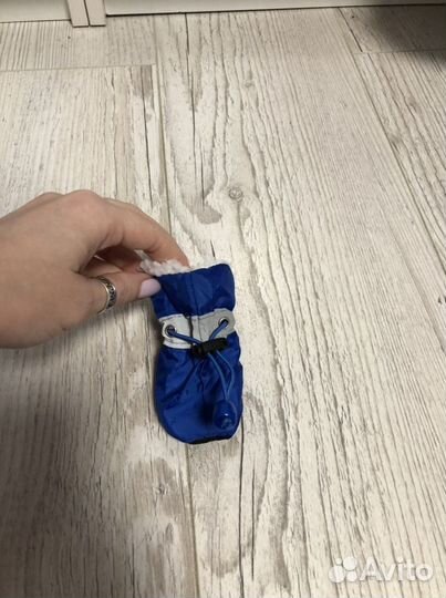 Одежда для собак