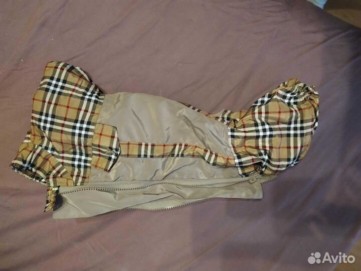 Костюм для таксы