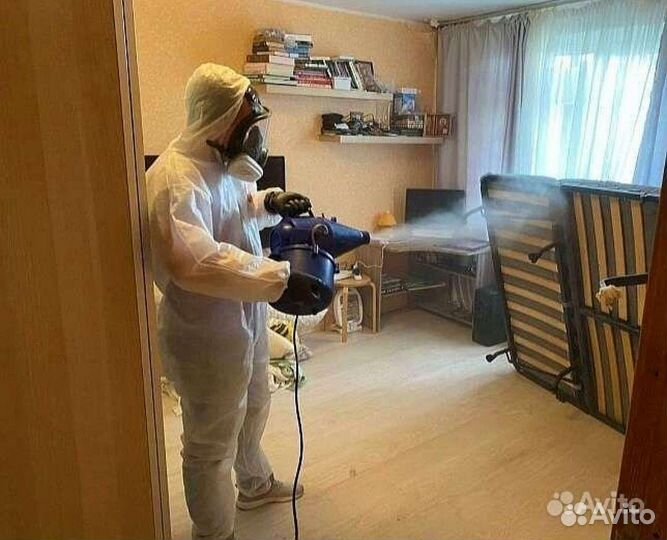 Уничтожение тараканов клопов мышей блох клещей