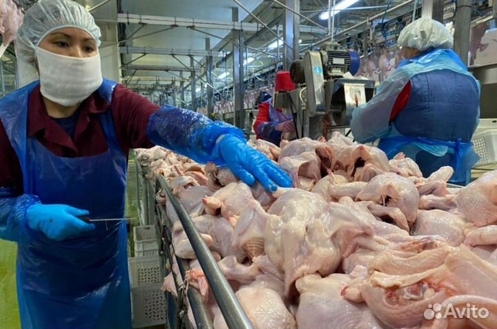 Рабочий конвейераной линии птицефабрика вахта