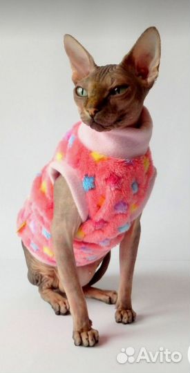 Канадский сфинкс одежда кофточки для кошек