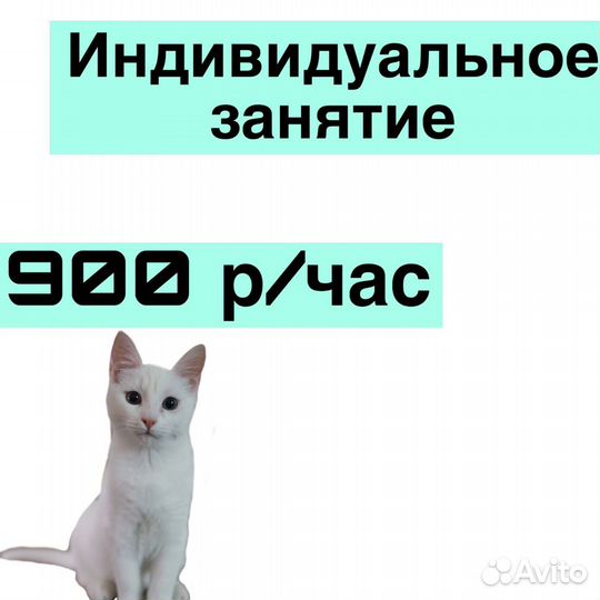 Репетитор по физике онлайн