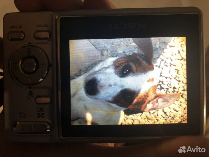 Вязка собак