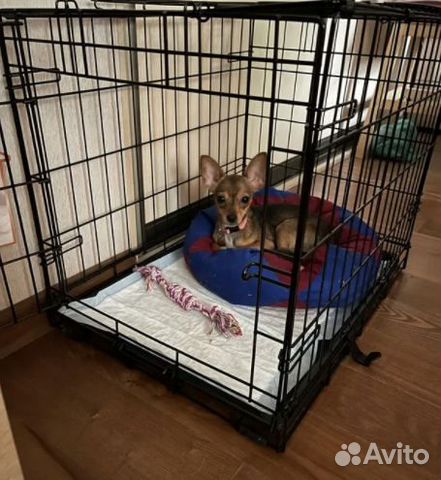 Клетка / вольер для собак