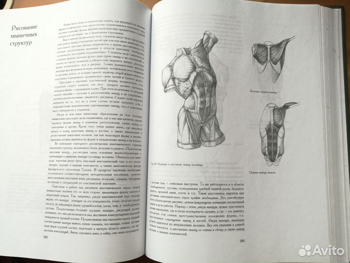 Книга Основы учебного академического рисунка