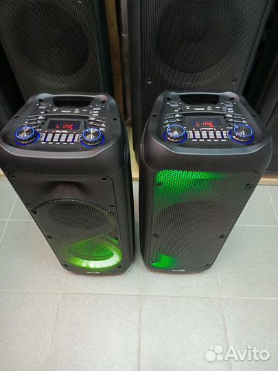 Колонка eltronic 20-58 и 20-59 500Ватт, 2-микр