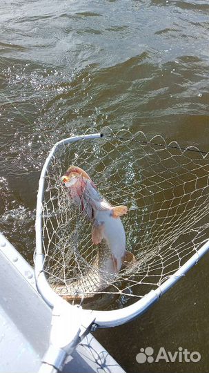 Рыбалка на мирную рыбу(лещ)