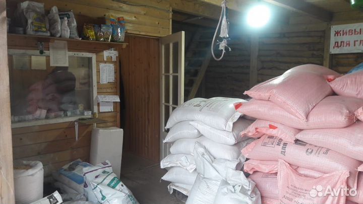 Корма - зерно