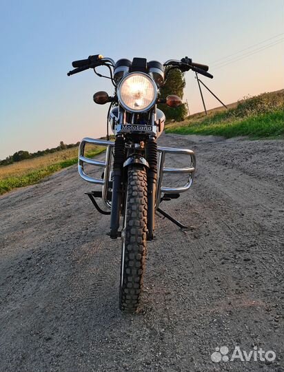 Alpha rx 110