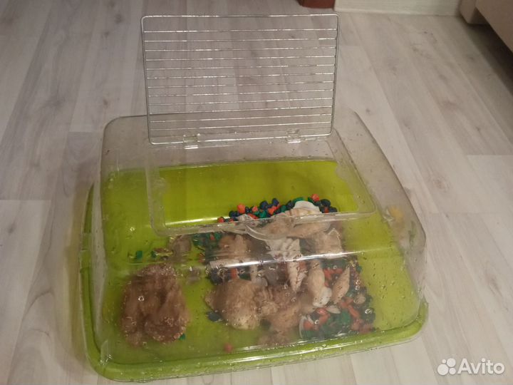 Аквариум для черепах