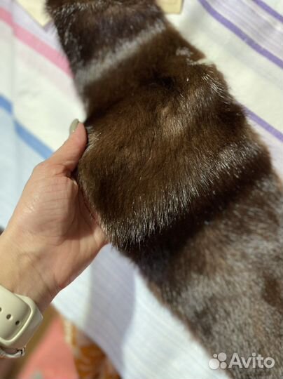 Шкурка животного