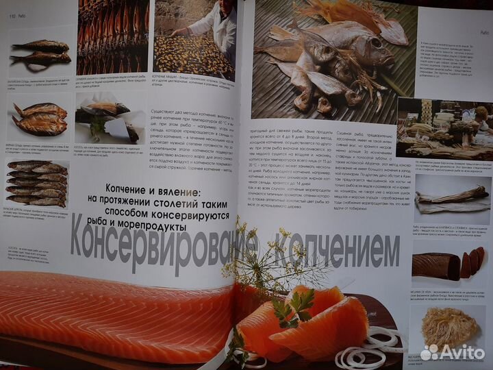 Food. Весь мир продуктов питания