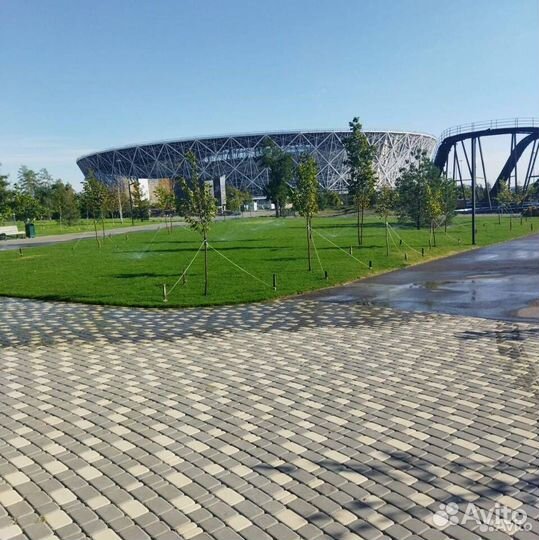 Рулонный газон прямо с полей