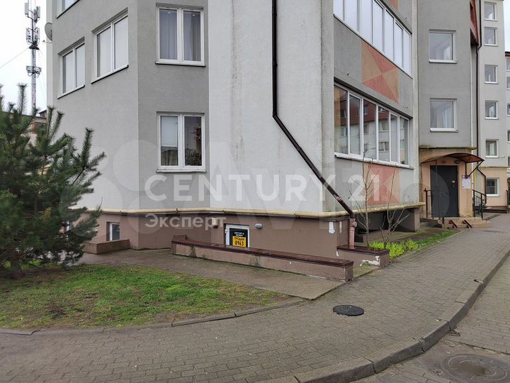 Помещение свободного назначения 101 м.кв