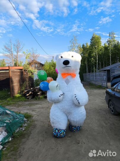 Белый мишка