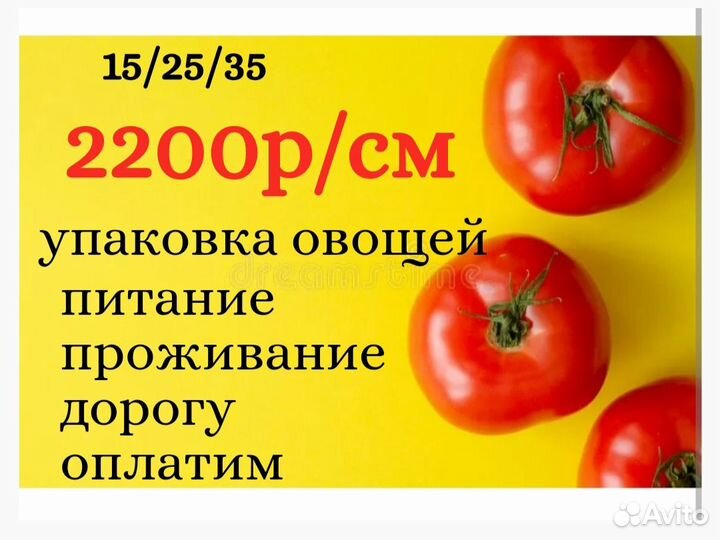Вахта в Елабуге упаковщик урожая питание и жилье
