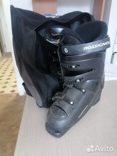 Горные лыжи