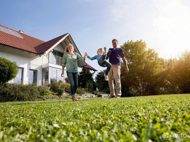 Семена многолетнего газона