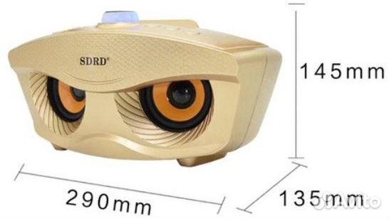 Караоке система на два микрофона sdrd SD-306