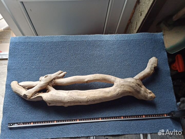 Коряга 70см для растений кактусы