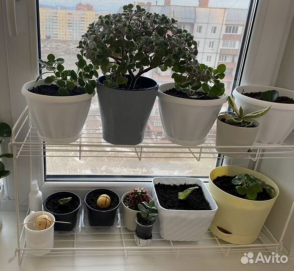 Полочка для цветов