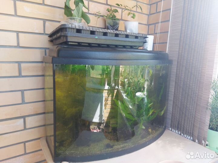 Аквариум