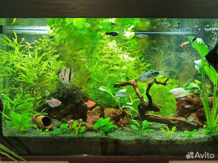Аквариум с тумбой, 280 литров