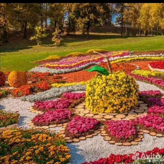 Слэбы торцевые спилы с берёза, дуб разных размеров