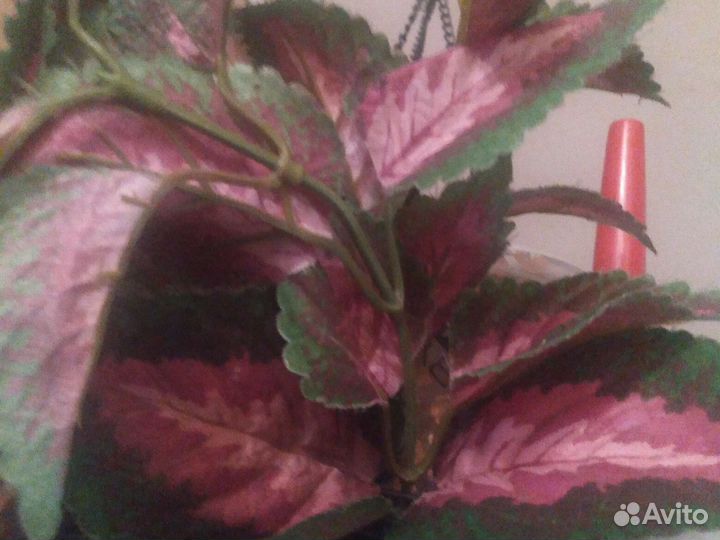 Искуственные цветы с горшком можно по отдельности