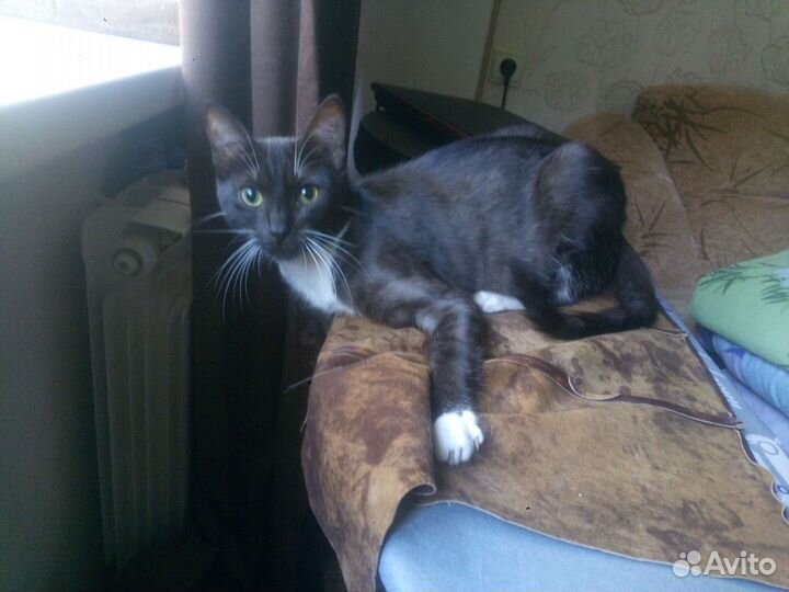 Пупсик Микки в добрые руки