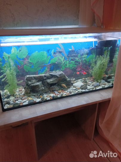 Аквариум с тумбой 200 литров