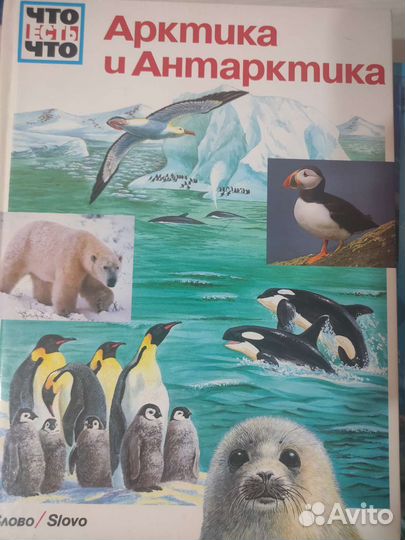 Детские книги энциклопедии