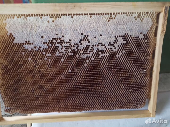 Рамки с вощиной