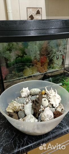 Аквариум на 70 литров