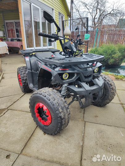 Квадрик Avantis Hunter 125 New
