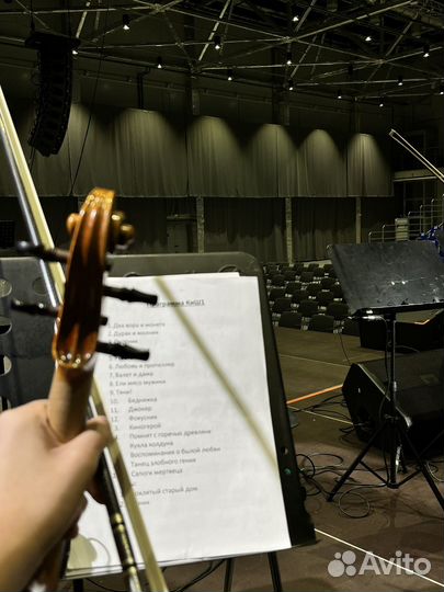 Преподаватель скрипки/фортепиано